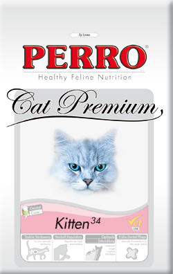 perro1.png